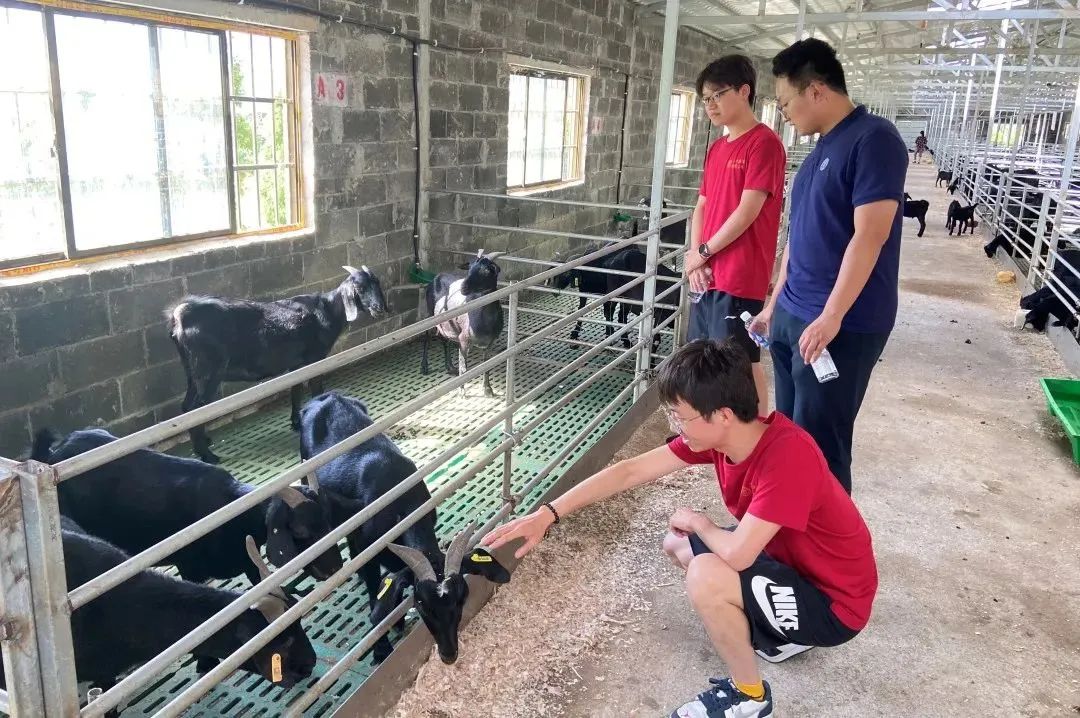 微信图片_20250510181833.jpg